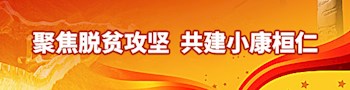 聚焦脱贫攻坚  共建小康桓仁