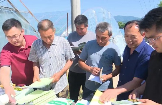 扎实做好人才工作 为高质量发展注入强劲动能